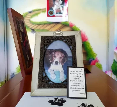 Parue memorial de mascotas