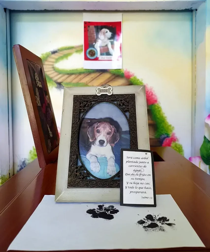 Guía completa sobre la cremación de mascotas en Cali: honrando a nuestros compañeros fieles