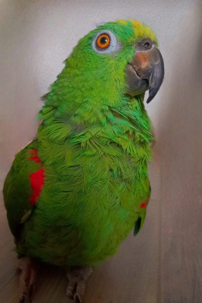 ❤️ Camila Restrepo