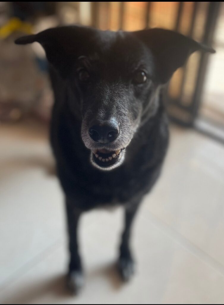 Zory Caicedo Vinasco