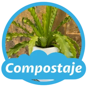 Compostaje - Tierra de mascotas