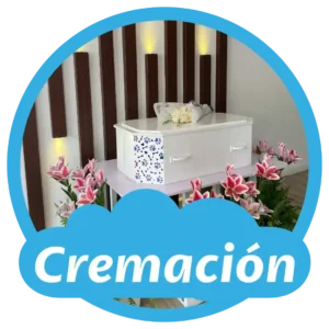 Cremación con y sin devolución de cenizas - Tierra de mascotas