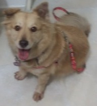 MIEL ALEJANDRA HOYOS