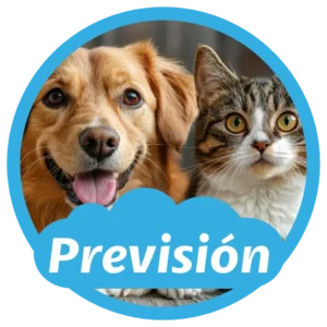 Planes Previsión - Tierra de mascotas
