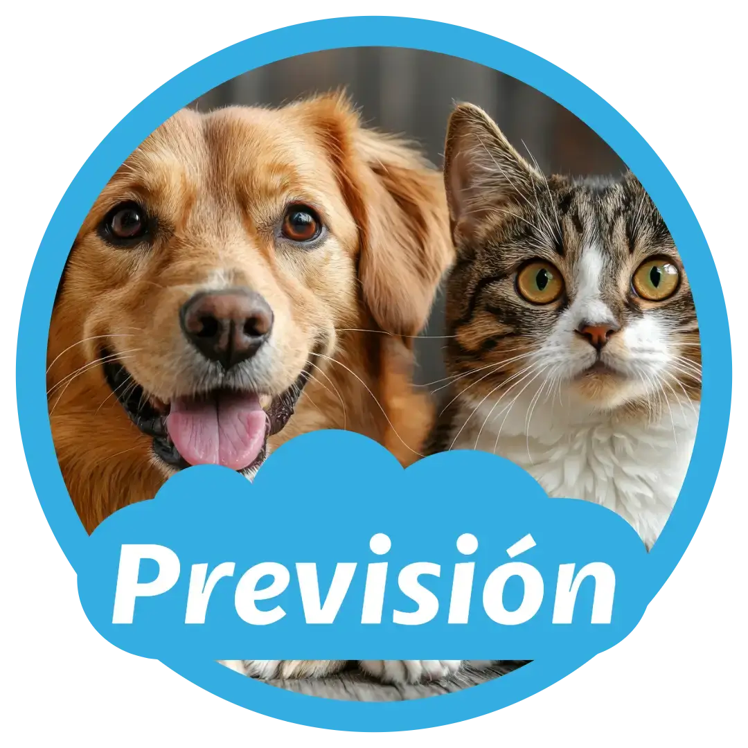 Planes Previsión - Tierra de mascotas