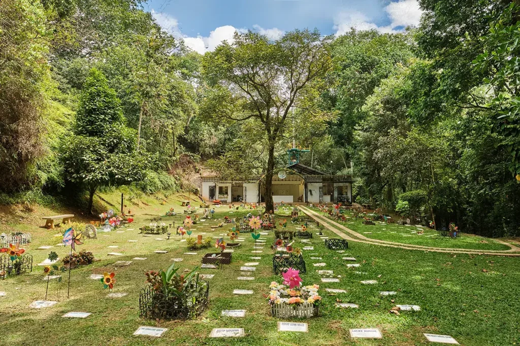 Descubre el significado y la importancia de un cementerio de animales: un último descanso con amor